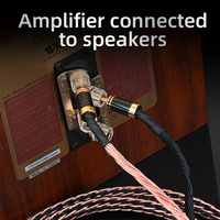 Câble audio HiFi haut de gamme en fibre de carbone avec fiches banane et Y, câble principal tressé HIFI 24 brins en fil OCC pour haut-parleur et microphone