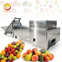 ORME Fruitpitverwijderingsmachine Jujube Abrikoos Pruimenpitverwijderaar Perzikpit Kersenontpitter Machine