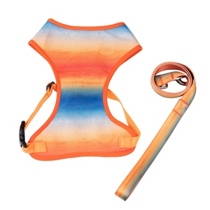 2022 Drucken <span class=keywords><strong>Pet</strong></span> Vest Custom Mesh Futter Hunde geschirr Set mit passender Leine - Product Image 5