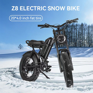 US EU Chứng Khoán mẫu miễn phí vận chuyển chất béo xe đạp 750W fatbike electrische Ebike bicicletta MTB Velo electrique chất béo lốp xe đạp điện - Product Image 5