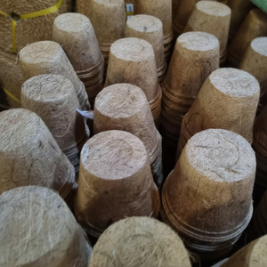 ผลิตภัณฑ์มะพร้าวจากเวียดนามสำหรับใช้งานทางการเกษตรและอุตสาหกรรม - Product Image 1