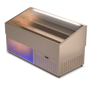 Buffet lẩu nướng thương mại thép không gỉ nhiệt độ đơn máy nước đá tùy chỉnh mở tập tin bước đặt hàng tủ - Product Image 4