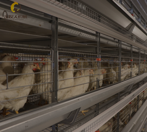 Cage de pontage de type H Jinmuren résistante aux intempéries, <span class=keywords><strong>traitement</strong></span> galvanisé premium, adaptable à divers environnements agricoles, cycle de service longue durée - Product Image 2