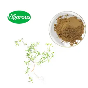 High Quality Wholesales Herb Hedyotis Diffusa Willd Extract Powder