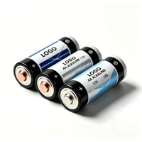 Piles alcalines LR6 AA robustes 1,5 V longue durée, étanches, pour appareils à forte consommation, prix de gros