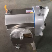 Fabriek Nieuwe Stijl Fruit Groente Snijmachine Met Groentesnijder/Beste Kwaliteit Industriële Groente Dicer Machine