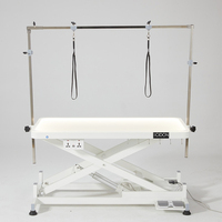 Table de toilettage pour animaux de compagnie avec éclairage LED professionnel et levage électrique - 110x60cm, table de salon haut de gamme pour chiens avec puces LED allemandes
