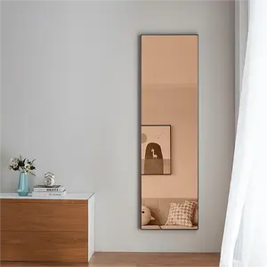 Metal Frame Black Wall Mounted Vanity Mirror Rectangle Shape Floor Length Full Body Dressing Mirror For Living Room