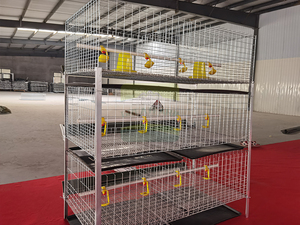 Jaulas <span class=keywords><strong>de</strong></span> malla <span class=keywords><strong>de</strong></span> alambre galvanizado Great Farm para pollos <span class=keywords><strong>de</strong></span> engorde en granjas avícolas - Product Image 5