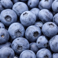 Pasokan Massal Blueberry Beku IQF Segar Berkualitas Tinggi Ekspor Global Grade A Buah-buahan