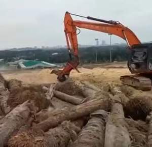 Trituradora multifuncional de palmeras - Picadora de madera de doble propósito para madera seca y húmeda - Equipo triturador de biomasa para bosques y jardinería - Product Image 4