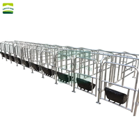 Equipos Agrícolas Modernos Jaulas para Animales Corral de Gestación para Cerdas Barra de Posicionamiento Galvanizada para Cerdas