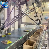 Empaquetadora Robótica Delta Automática Personalizada para Pequeñas Empresas, Alimentos, Snacks, Metal, Alta Precisión, Alta Productividad, Eléctrica