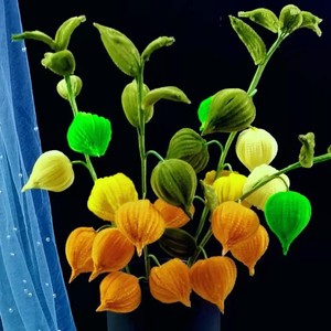 ชุดของเล่น DIY ชุดงานฝีมือโคมไฟผลไม้ 23 ซม. พลาสติก สำหรับเด็กอายุ 5-7 ปี ธีมธรรมชาติ - Product Image 1