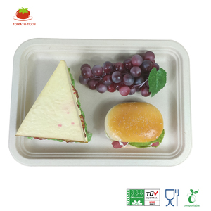 PFAS Free 14x10 Inch Rectangular Bagasse Tray OK Compost Certified Compostable <strong>Disposable</strong> Microwave Safe Eco-Friendly <strong>Platters</strong> - Product Image 1