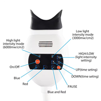 Machine de blanchiment des dents dentaires Lampe Dent LED source de lumière froide machine de blanchiment des dents professionnelle Une variété de modèles