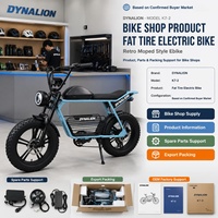 Vélo électrique à pneus larges style rétro cyclomoteur avec pièces de rechange, support d'exportation, emballage OEM, fournisseur d'usine