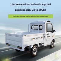 Camionnette électrique à quatre roues Langtuo New Energy, mini-camion de transport de marchandises, transport express, 2 places, robuste