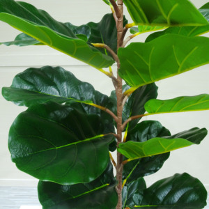 Trong Nhà Nhà Văn Phòng Trang Trí Nội Thất Bán Hàng Nóng Nhà Máy Nhựa Cây Giả Bonsai Ficus Cây Nhân Tạo Cây <span class=keywords><strong>Fiddle</strong></span> Lá Cây vả - Product Image 5