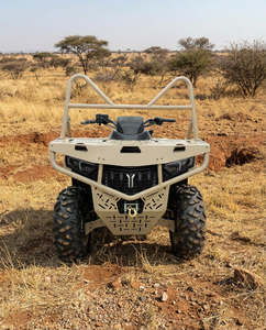 Vehículo Todoterreno Fangpower SW680 VV de Alta Calidad, 4x4, Legal para Carretera, Buggy para Dunas, <span class=keywords><strong>Cuatrimoto</strong></span> de 600cc, en Oferta - Product Image 3