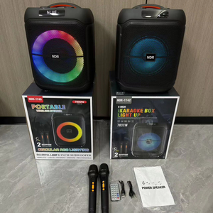 NDR-1745 音箱 2 个旋钮 20W 8 英寸 80Hz 低音圆形 RGB 灯 卡拉 OK 音箱 2 个麦克风 远程电脑 手机 - Product Image 4
