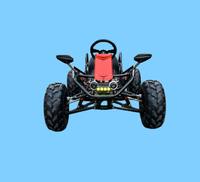 Véhicule tout-terrain à quatre roues, voiture de drift pour adultes, buggy de plage, kart électrique à commande manuelle