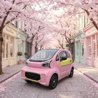 Vehículo Eléctrico Popular y Atractivo para Pasajeros, Autonomía NEDC de 120~300 km, Potencia del Motor de 3500 W, Batería de Litio de 60 V y 200 Ah, Velocidad de 55 km/h