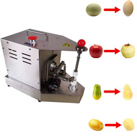 Fruit- en groenteverwerkingsmachines Elektrische fruit- en groenteschilmachine Automatische fruit- en groenteschilmachine