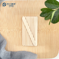 Bâtonnets de glace à l'eau personnalisés de 93*10*2mm Bâtonnets de crème glacée jetables en bois Bâtonnet de glace écologique en bouleau