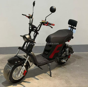 Moto électrique pour adultes, marché brésilien, CE, 2 roues, guidon de 69 cm, moto électrique 1000w, moto électrique 60V - Product Image 1