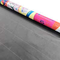 Revêtement de sol en rouleau plastique, linoléum, feuille de PVC vinyle, tapis, revêtement mural, motif imprimé artistique pour étudiants, avec support en mousse à dos sec