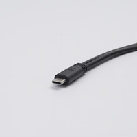 15W3A Câble de charge d'alimentation USB C mâle vers double USB C femelle 30cm