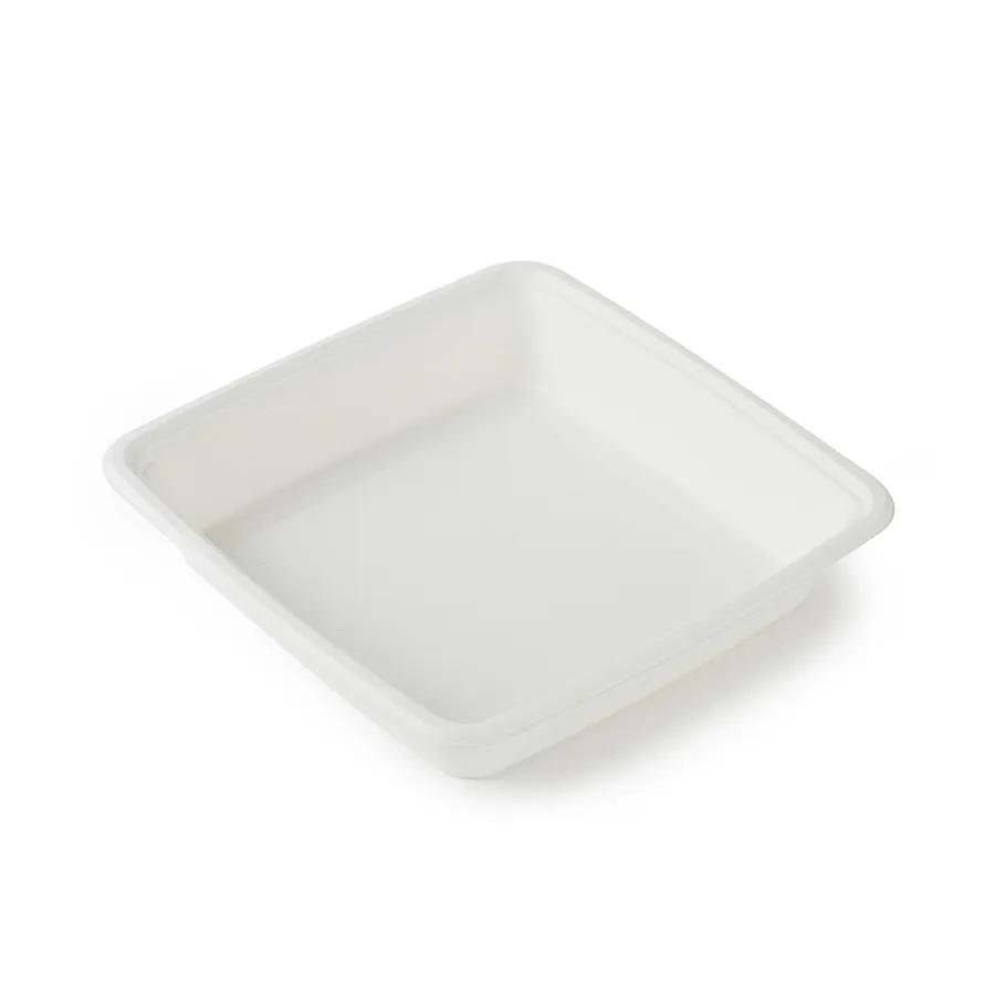 eco friendly disposable lunch catering fruit platter dish and plate biodegradable food tray