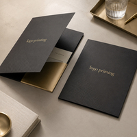 Carpeta de Archivo de Oficina A4 A5 al por Mayor, Carpeta de Presentación Expandible con Logotipo Personalizado, Impresión con Dos Bolsillos