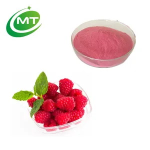 Organic weight loss fruit extract 100% pure 2023 newest price chinese natural Raspberry Fruit Juice Powder fast delivery