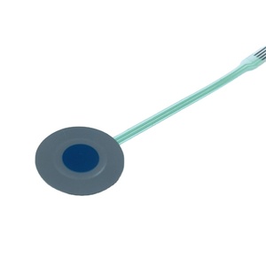 Chất lượng cao tùy chỉnh một phím kim loại dome màng chuyển đổi bàn phím - Product Image 2