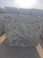 Bloc de granit blanc moderne Shandong Viscon, coupé à la machine, solution écologique complète, support technique en ligne, Villa Park