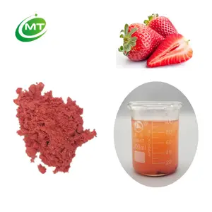 Poudre de fraise biologique séchée à froid, poudre de Fruit de fraise, poudre de jus de fraise pour boisson