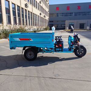 Triciclo Eléctrico de Carga de 60V >1000W, Carrocería Abierta, Carga Útil de 170 kg, <span class=keywords><strong>Masa</strong></span> <span class=keywords><strong>Total</strong></span> de 466 kg, para Entregas de Última Milla en Perú - Product Image 3