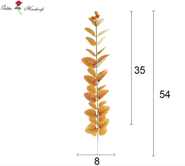 ยูคาลิปตัส5