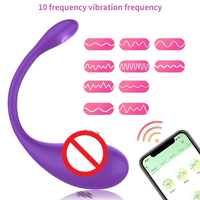 Heißer Verkauf Kabelloser Bullet-Vibrator Tragbarer Slip-Vibrator mit Fernsteuerung über Handy-App Vibrator-Ei Erotikspielzeug für Erwachsene
