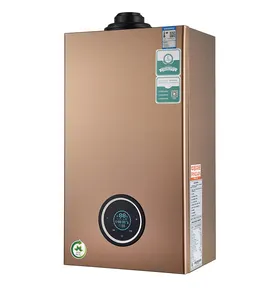20kw, 24kw, 32kw intercambiador de calor de agua a gas generador de agua caliente Sistema de ducha doméstico calentador de agua a gas caldera