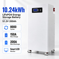 Paket Baterai LiFePO4 Lithium Iron Phosphate 25.6V 51.2V 200Ah 300Ah 314Ah 400Ah untuk Sistem Penyimpanan Energi dengan Daya Tahan Siklus Tinggi