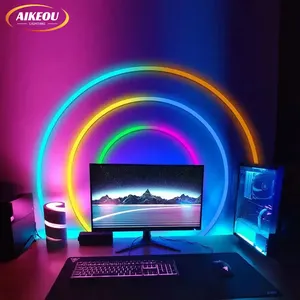 Aikeou Lighting OEM ODM Rgbic Decoration Led Silicone Tube Neon Flex 12V Strip Neon Lights For Wall