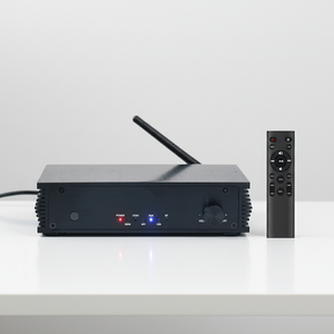 Amplificateur intégré samtronic 2.1 canaux avec <span class=keywords><strong>DAC</strong></span>, <span class=keywords><strong>ampli</strong></span> de puissance stéréo audio domestique avec puces TPA3116 <span class=keywords><strong>pour</strong></span> haut-parleurs passifs <span class=keywords><strong>HiFi</strong></span> - Product Image 2