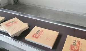 Machine automatique d'emballage rétractable de livres et emballeuse de caisses pour magazines, rouleau jumbo de papier hygiénique - Product Image 5