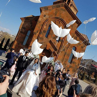 Volant blanc oiseau ballons mariée paix Pigeons ballon pour la décoration de fête de mariage bébé douche hélium Globos