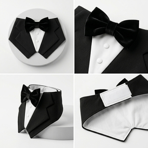 Costume de Président pour animaux de compagnie, col de costume fait main pour chat ou chien - Product Image 1