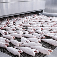 Fabrieksdirect IQF-vriestunnel met hoge capaciteit voor vis en schaal- en schelpdieren
