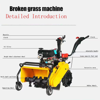 Broyeur d'herbe agricole à poussée manuelle, alimenté au diesel, machine à désherber, tondeuse à gazon